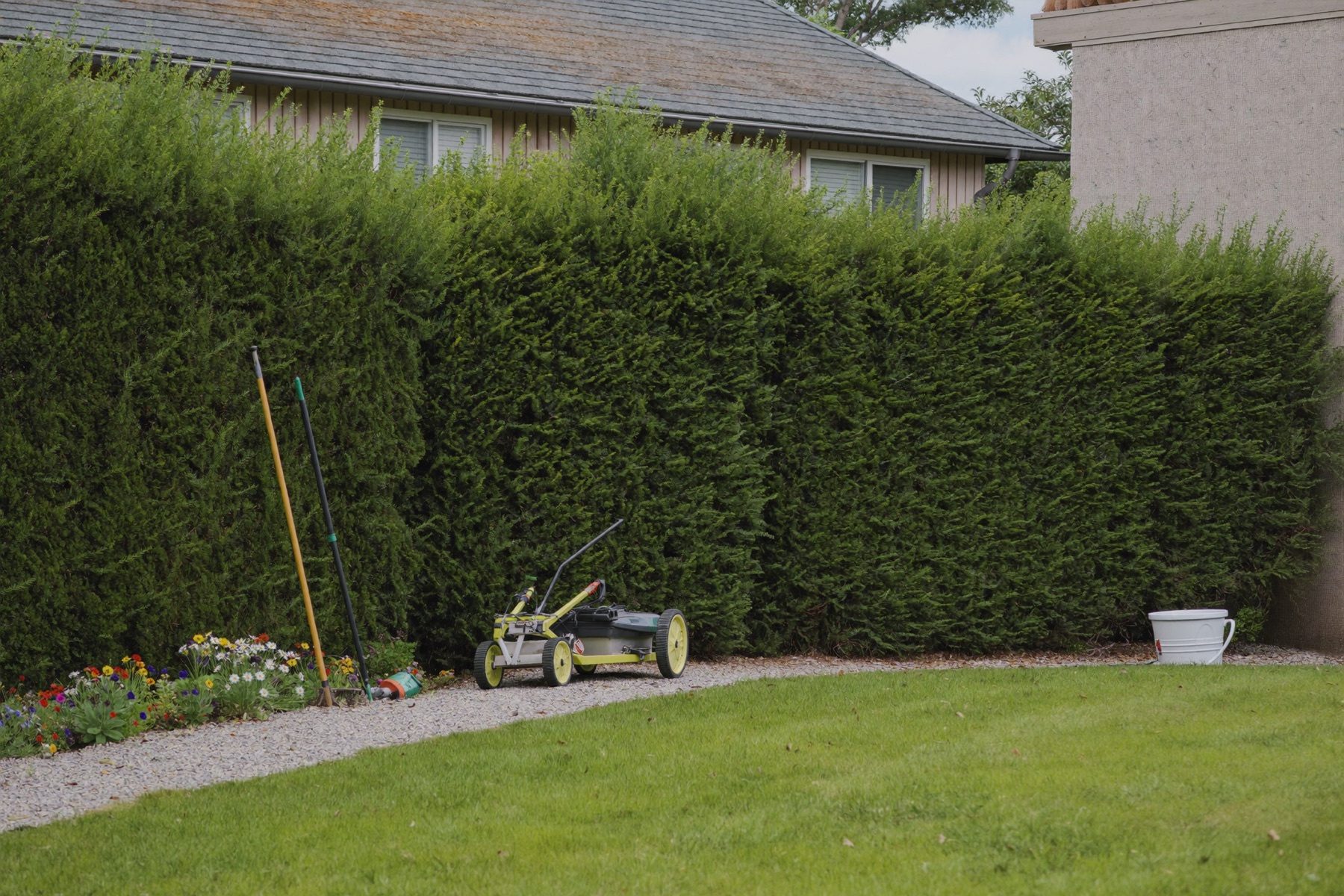 Gepflegter Garten mit geschnittener Hecke und Rasen